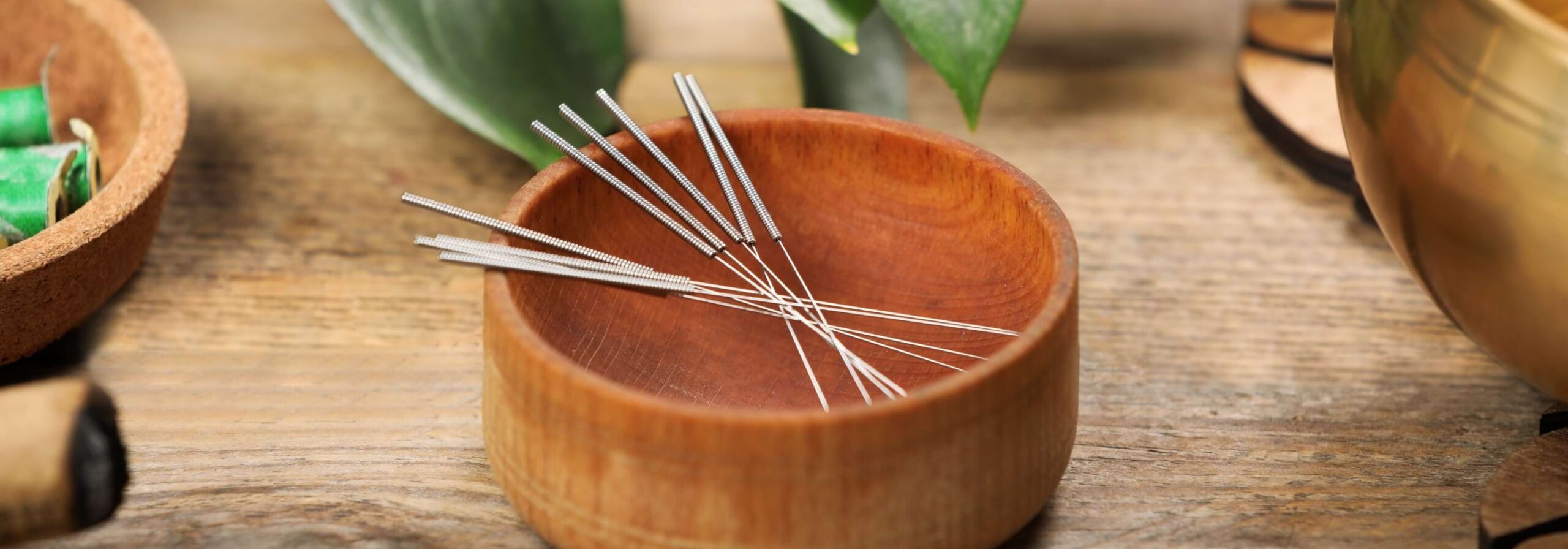 ACUPUNCTURE NEEDLES